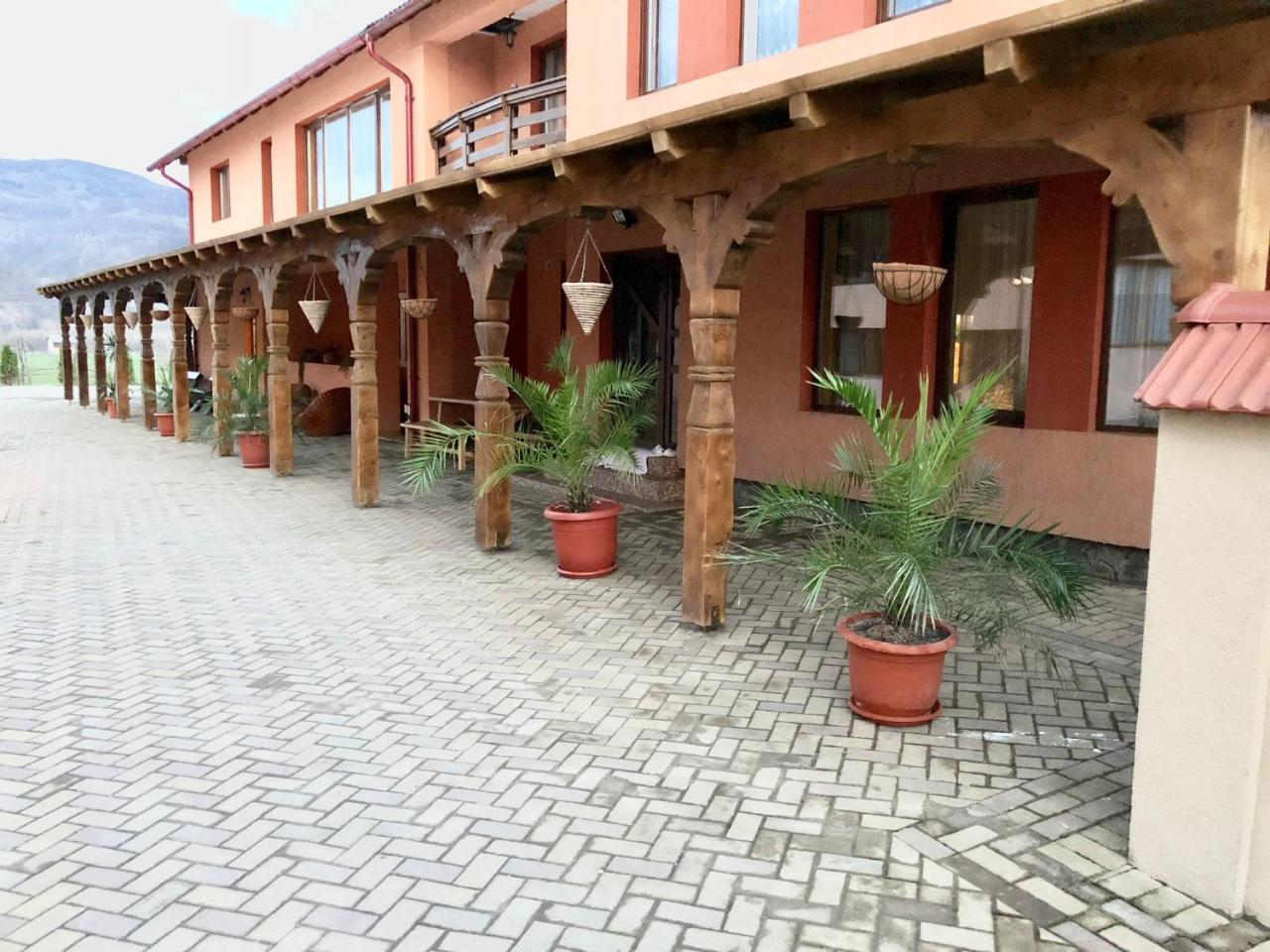 Pensiunea Sasu Şieu Exterior foto